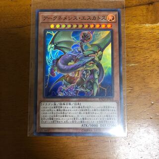 アークネメシス・エスカトス