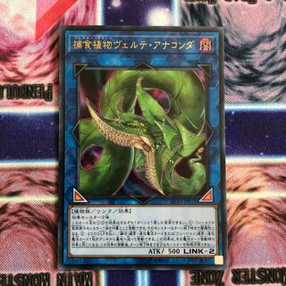 捕食植物ヴェルテ・アナコンダ