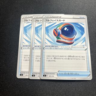 Full face guard (D){goods}〈385/414〉[SI].