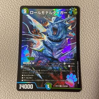 Roll Model Tiger SR S18/S20