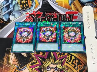 Gishki Photomirror DT13 2 Duel Terminal, set of 3 Tera.