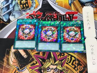 Gishki Photomirror DT13 3 Duel Terminal, set of 3 Tera