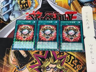 Gishki Photomirror DTC2 3 Duel Terminal, set of 3 Tera