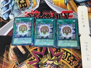 Detonate DT01 1 Duel Terminal, set of 3, Tera.