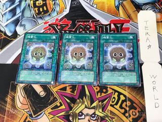 Detonate DT01 5 Duel Terminal, set of 3, Tera.