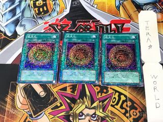 Giant Growth DT07 2 Duel Terminal, set of 3, Tera.