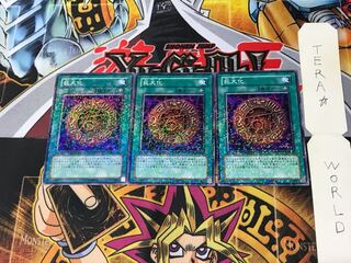 Giant Growth DT07 3 Duel Terminal, set of 3, Tera.