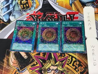 Giant Growth DT07 4 Duel Terminal, set of 3, Tera.