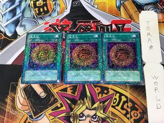 Giant Growth DT07 5 Duel Terminal, set of 3, Tera.