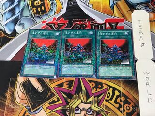 The Shallow Grave DT06 4 Duel Terminal, set of 3, Tera.