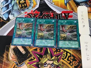 大進化薬 DT04 1 デュエルターミナル 3枚セット てら