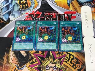 融合 DT07 1 デュエルターミナル 3枚セット てら