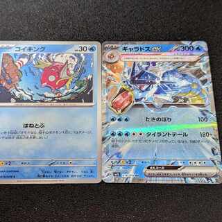 Gyaradosex RR 014/078