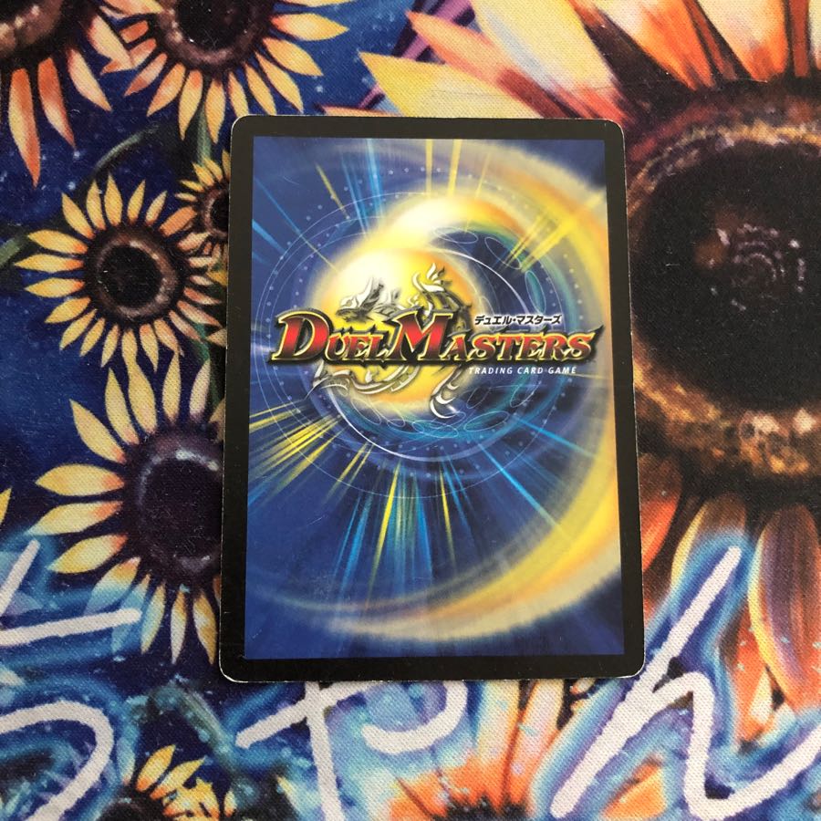 ヘルスラッシュ