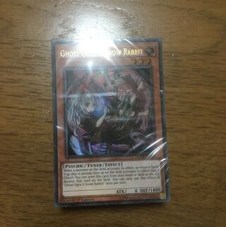 duel devastator 未開封