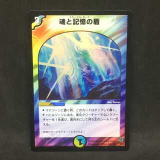 魂と記憶の盾@000870