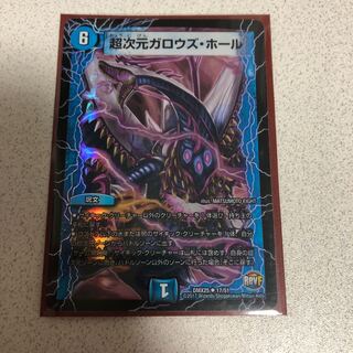 超次元ガロウズホール