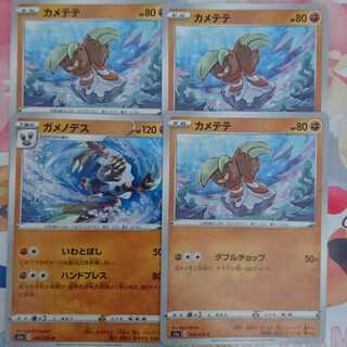 カメテテ 進化系統