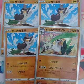 カモネギ 進化系統