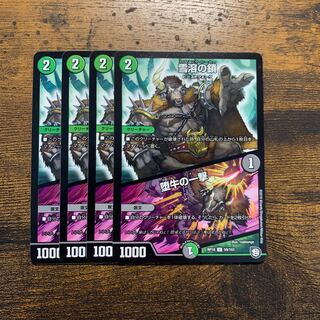 スプリングシーカー ダブルフォール ① 1枚