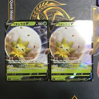 ワタシラガv ×2