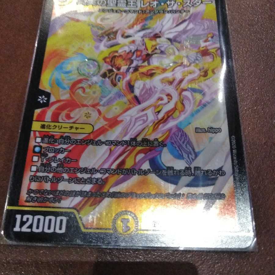 真実の聖霊王レオザスター