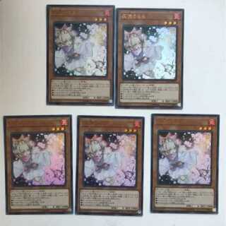 専用　灰流うらら　5枚