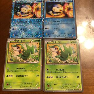 Piplup & Snivy