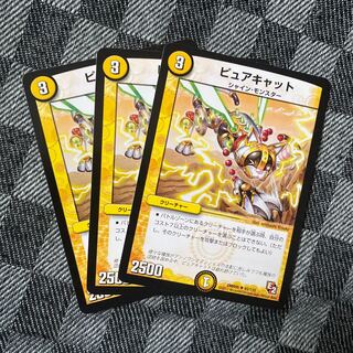 ピュアキャット