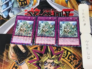 ガスタのつむじ風 DTC1 1 デュエルターミナル 3枚セット てら