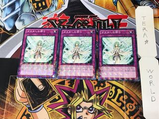 Blessings for Gusto DTC4 1 Dueling Terminals, set of 3, Tera.