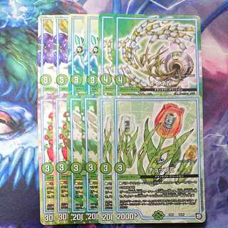 Auby Rosa Carr GR Iine IV U 57/102