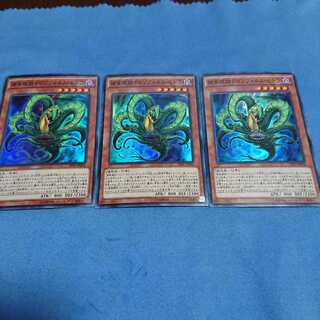 遊戯王 捕食植物ドロソフィルム・ヒドラ