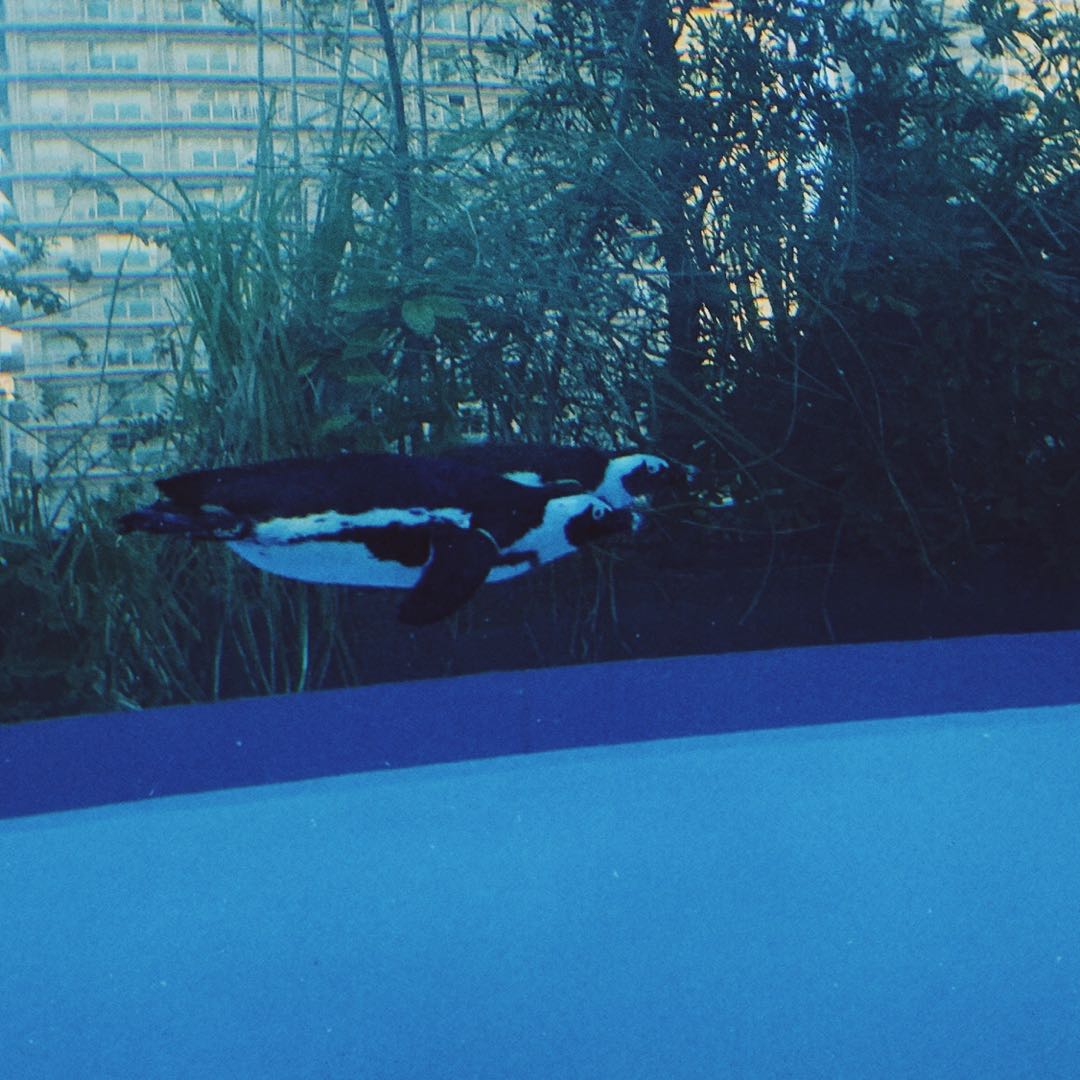 ダイスケさん専用