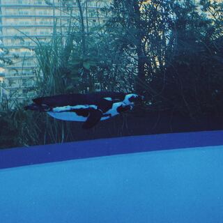 ダイスケさん専用