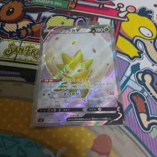 ワタシラガ　SR