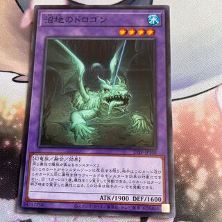 沼地のドロゴン ノーマル JP108