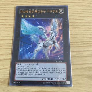 Number 44: Dedicated to Sky Pegasus 1226