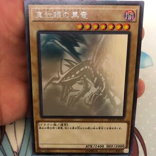 真紅眼の黒竜  ホロ