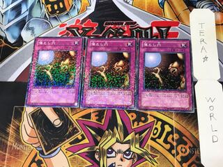 Pit Trap DT04 3 Duel Terminal, set of 3, Tera.