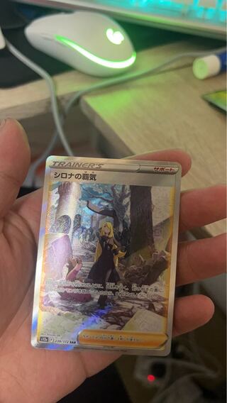 Cynthia's Highness SAR 239/172