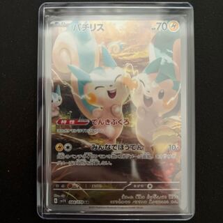 Pachirisu AR 084/078 1枚