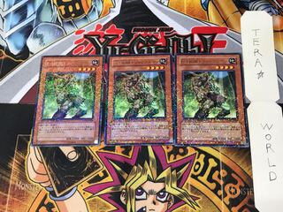 E・HERO フォレストマン DT08 3 デュエルターミナル 3枚セット てら