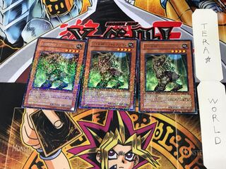 E・HERO フォレストマン DT08 4 デュエルターミナル 3枚セット てら