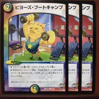 old4288 set discount Piyo's Boot Camp C 65/74