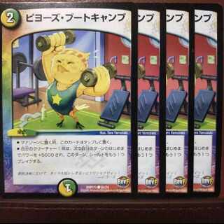 old4290 set discount Piyo's Boot Camp C 65/74