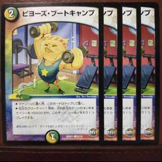 mri234 set discount piyo's boot camp c 65/74