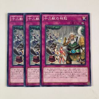 Twelve Beastly Conflicts $5493