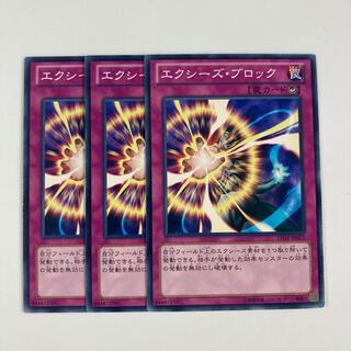 エクシーズ・ブロック $5498