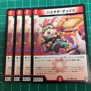 Haetata Chu Squirrel C 78/95